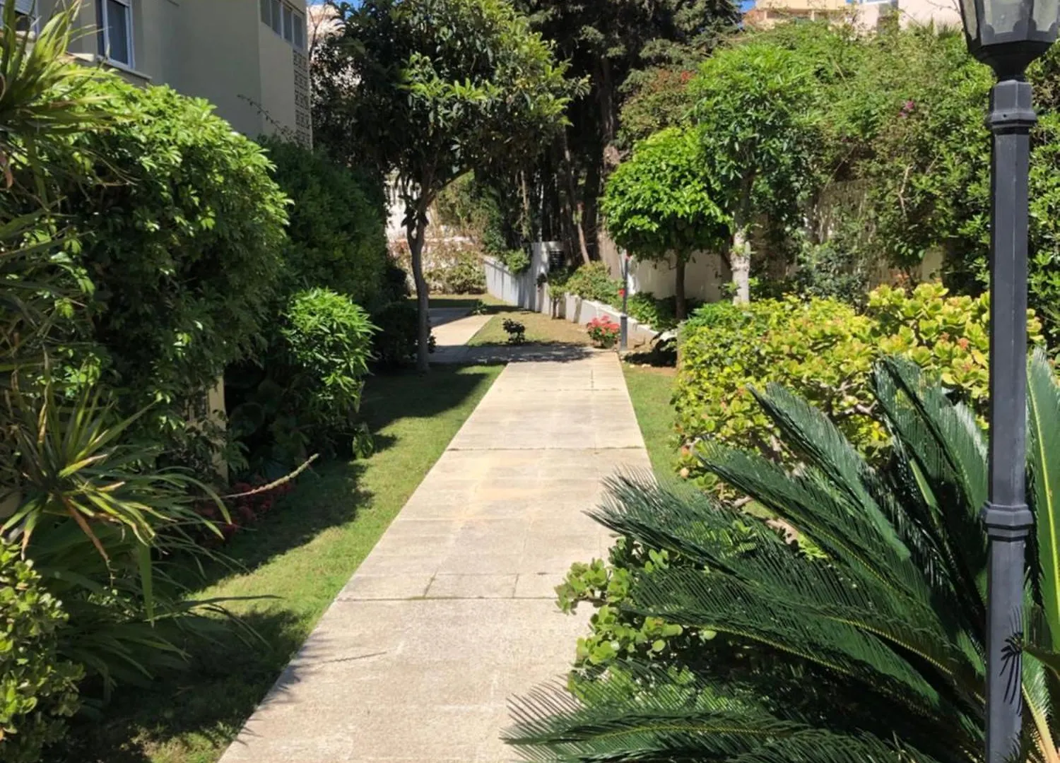 פואנגירולה Las Gaviotas ספרד